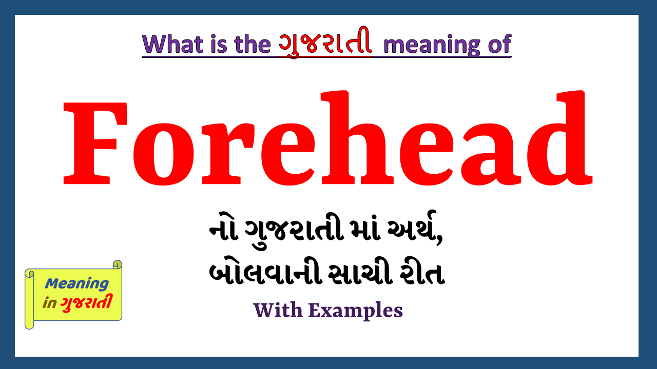 Forehead-meaning-in-gujarati