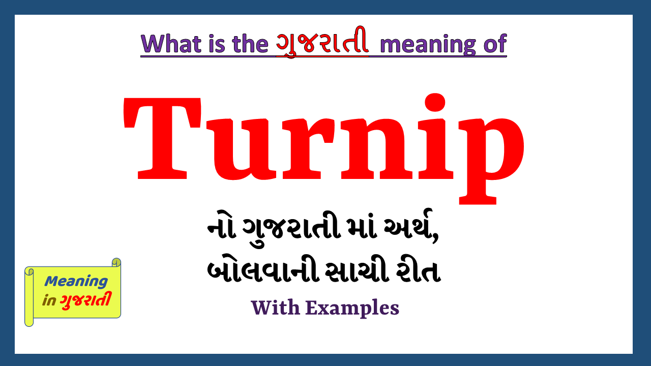 Turnip-meaning-in-gujarati