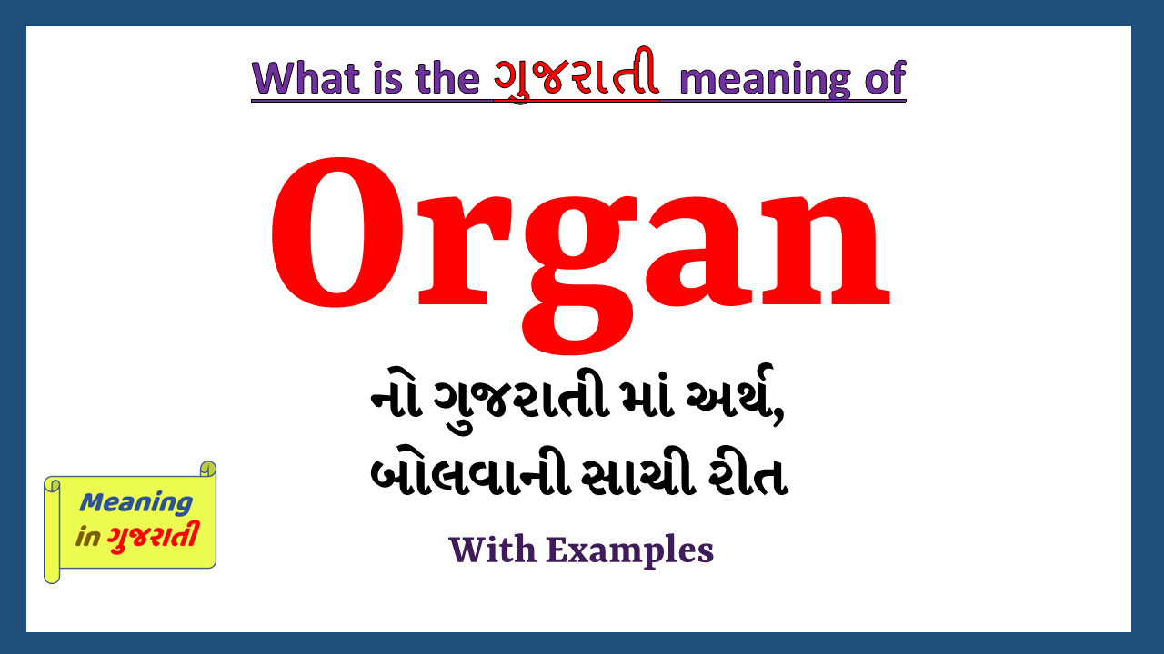 Organ-meaning-in-gujarati