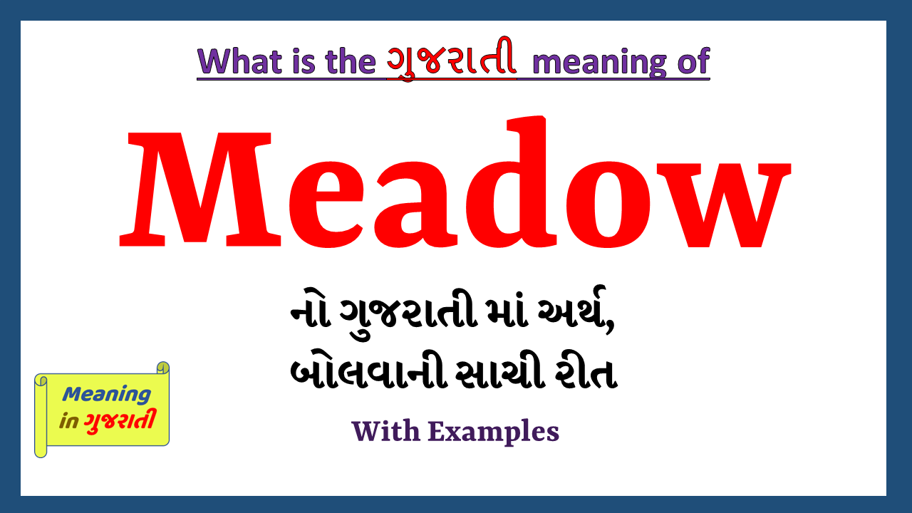Meadow-meaning-in-gujarati