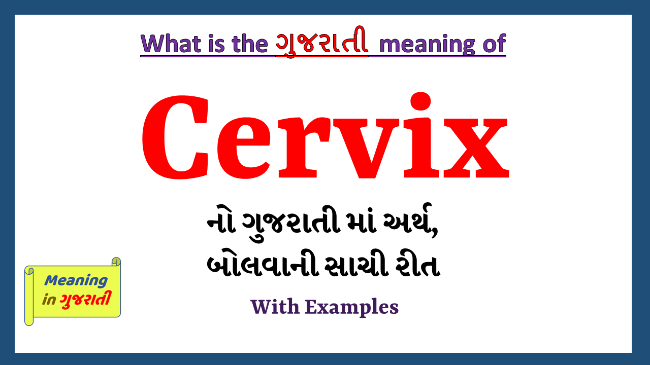 Cervix-meaning-in-gujarati