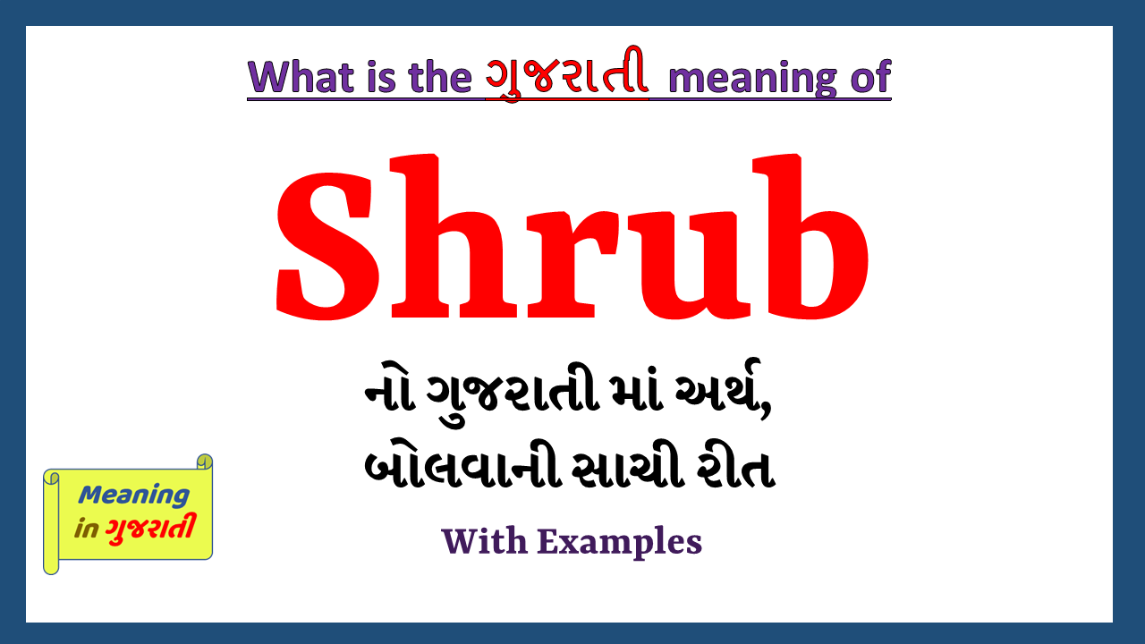 Shrub-meaning-in-gujarati