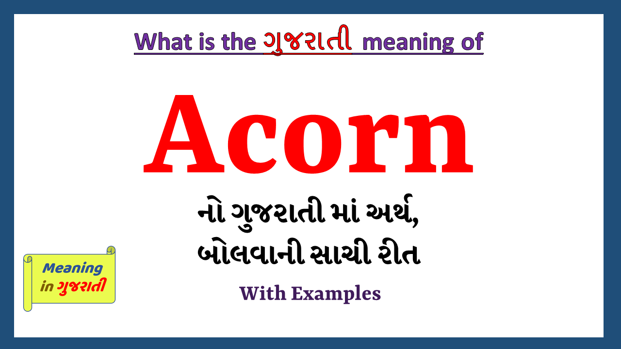 Acorn-meaning-in-gujarati