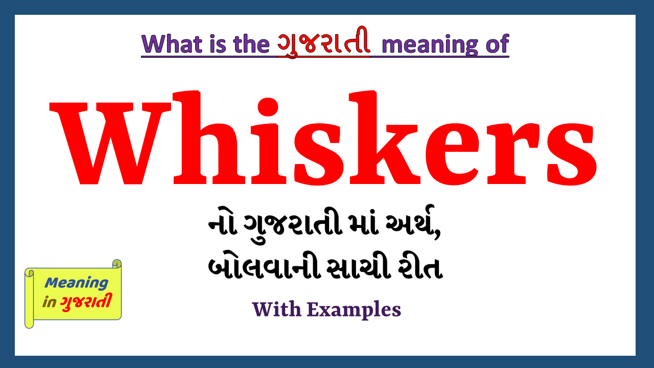 Whiskers-meaning-in-gujarati