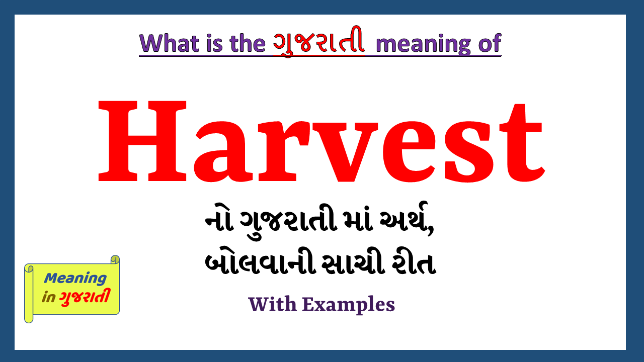 Harvest-meaning-in-gujarati