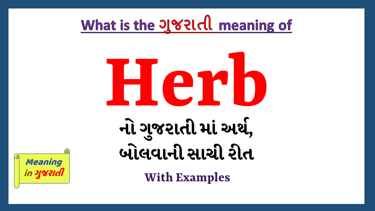 Herb-meaning-in-gujarati