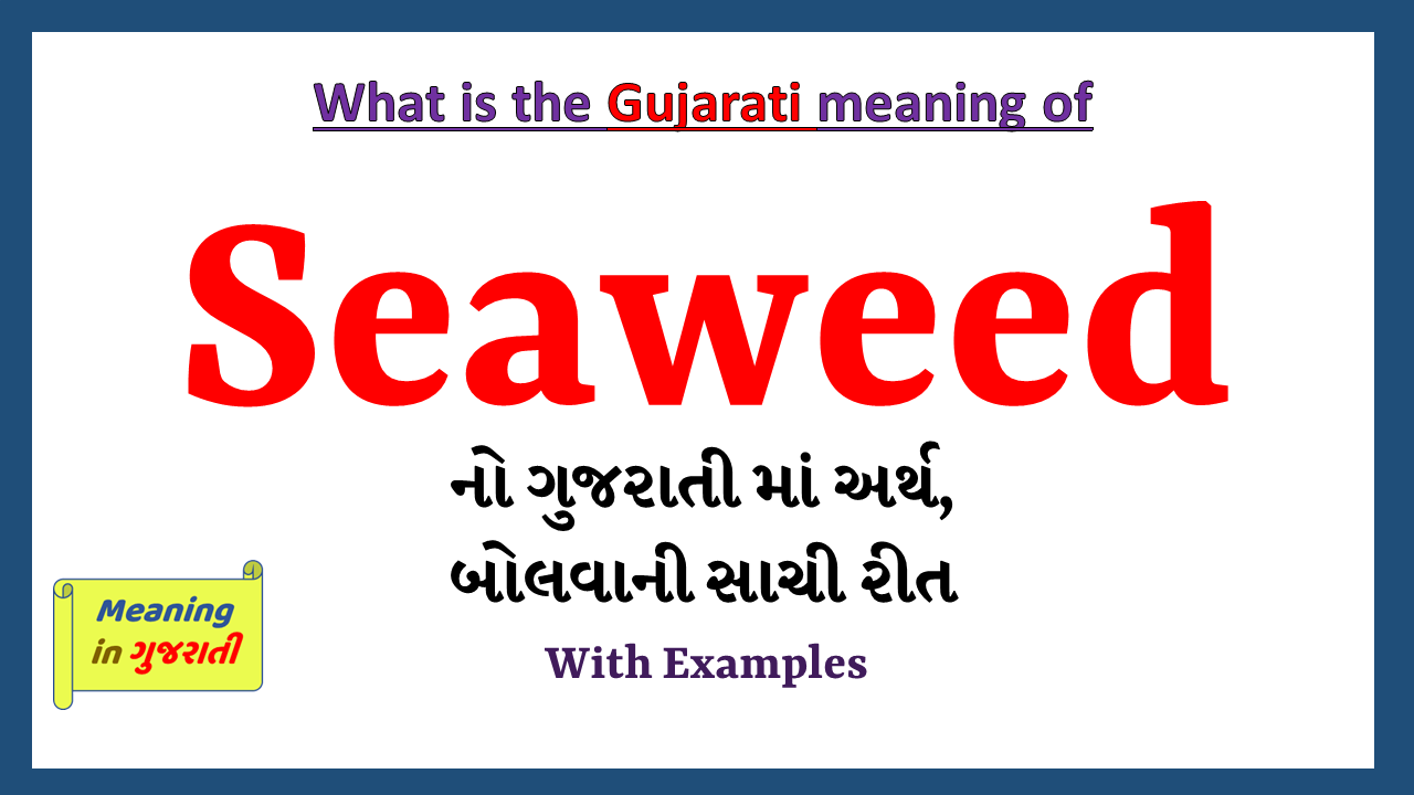 Seaweed-meaning-in-gujarati