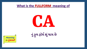 CA-fullform-in-Gujarati