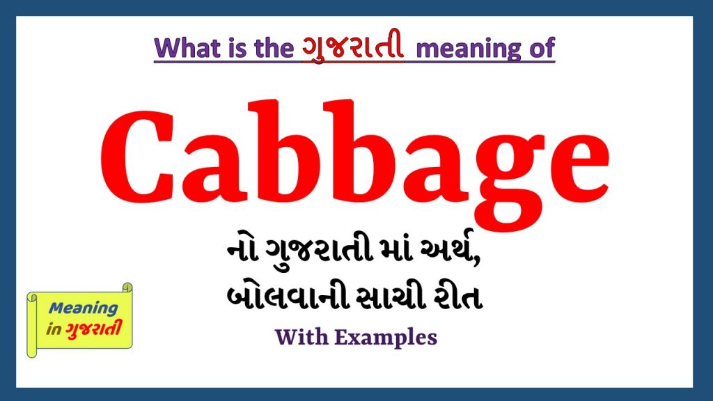 Cabbage Meaning in Gujarati Meaning in Gujarati