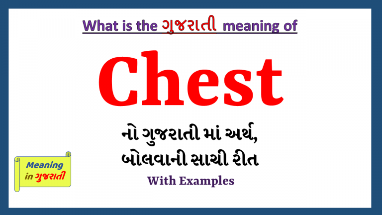 chest-meaning-in-gujarati-meaning-in-gujarati