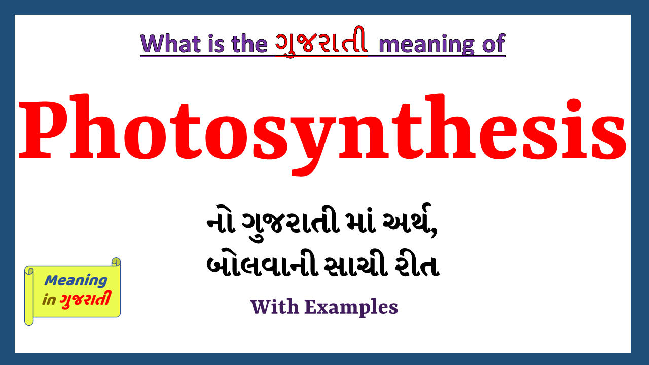 Photosynthesis-meaning-in-gujarati
