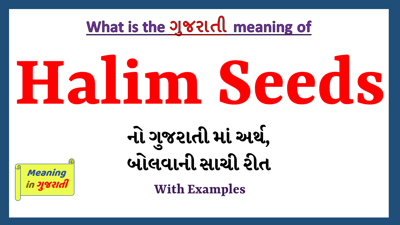 Halim-Seeds-meaning-in-gujarati