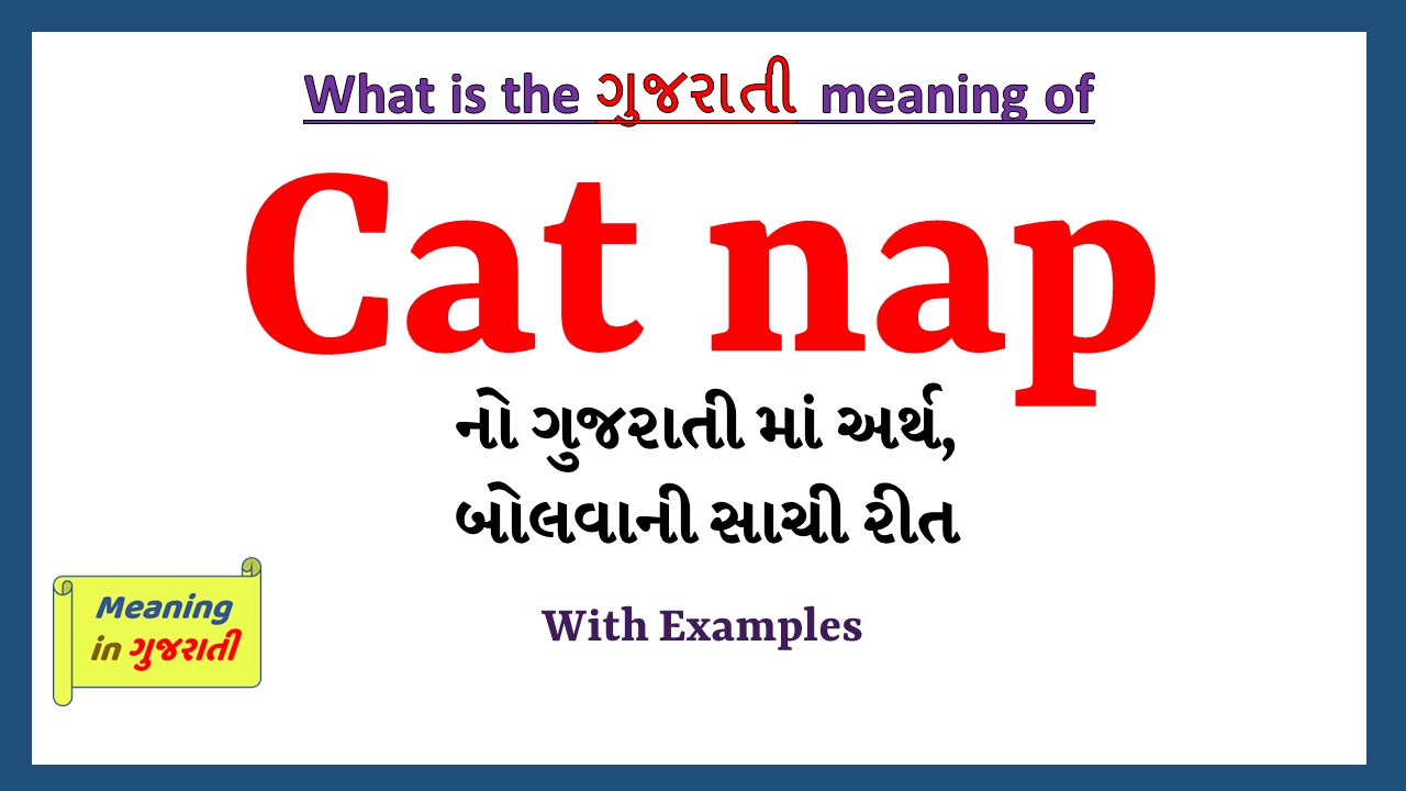 Cat-nap-meaning-in-gujarati