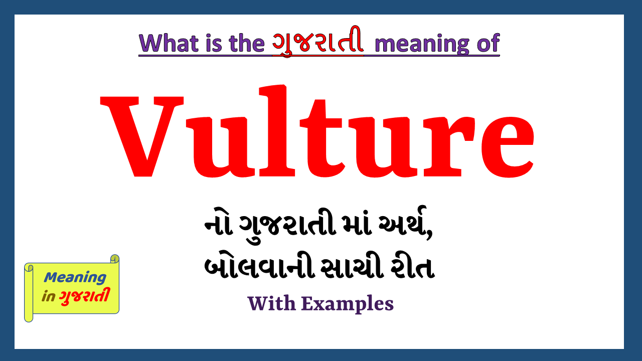 Vulture-meaning-in-gujarati