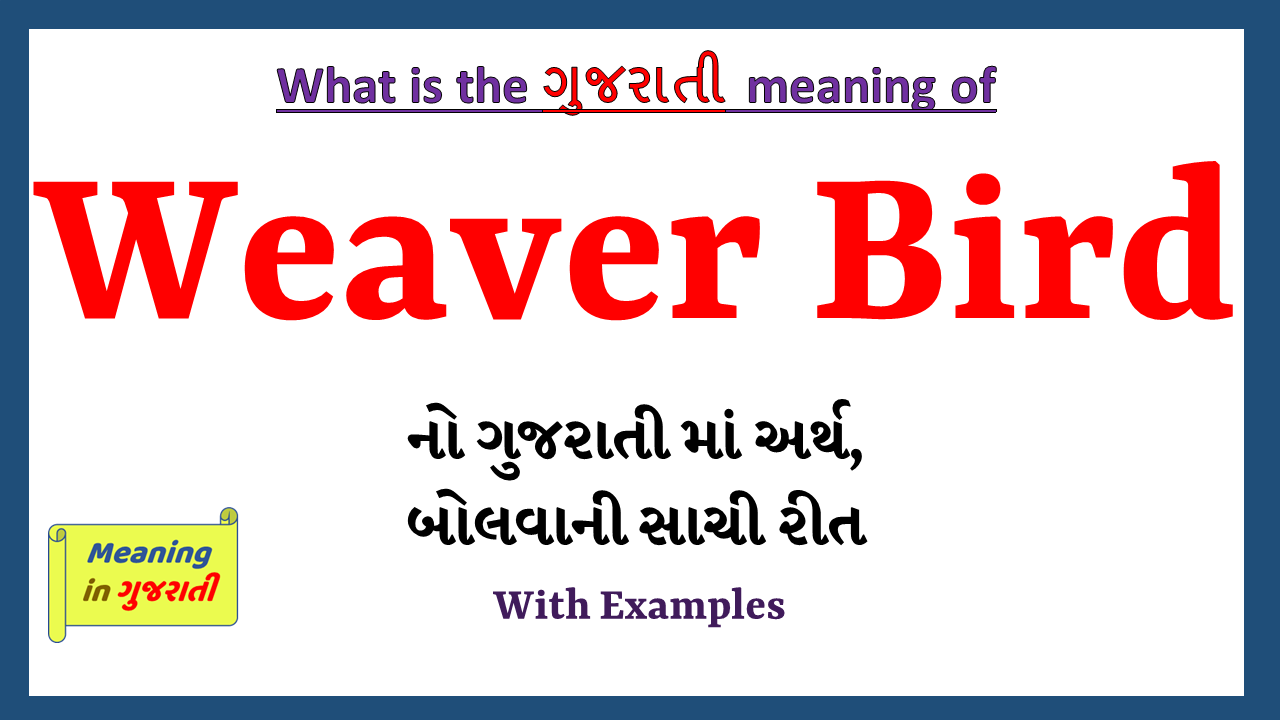 Weaver-Bird-meaning-in-gujarati