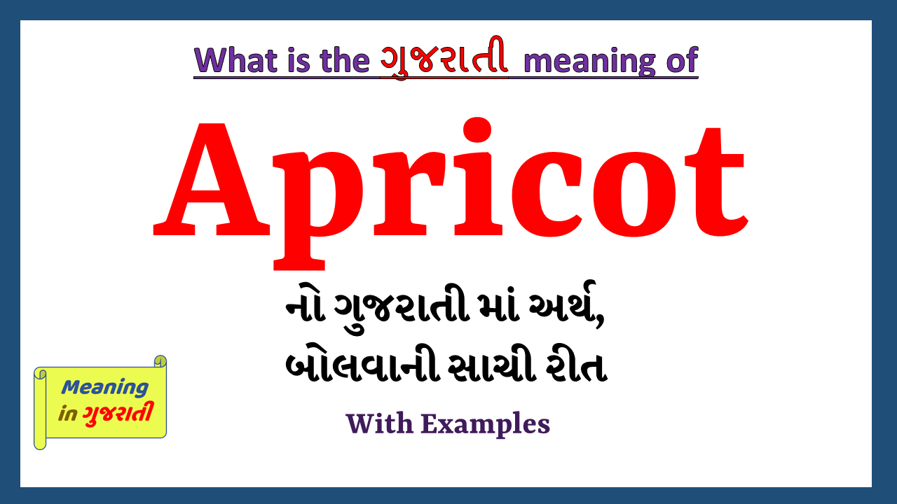 Apricot-meaning-in-gujarati