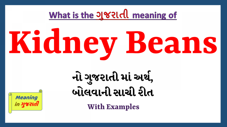 kidney-beans-meaning-in-gujarati-meaning-in-gujarati