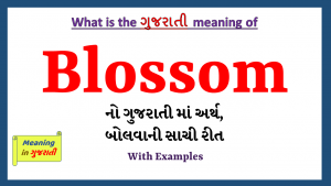 Blossom-meaning-in-gujarati