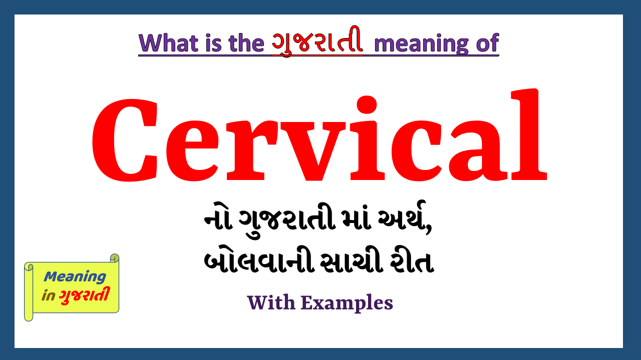 Cervical-meaning-in-gujarati