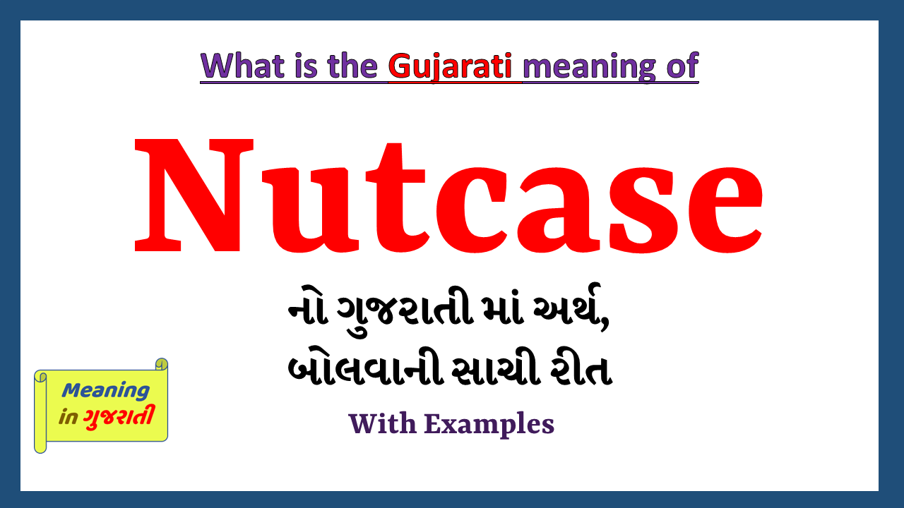 Nutcase-meaning-in-gujarati