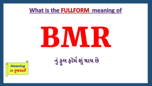BMR-fullfrom-in-Gujarati